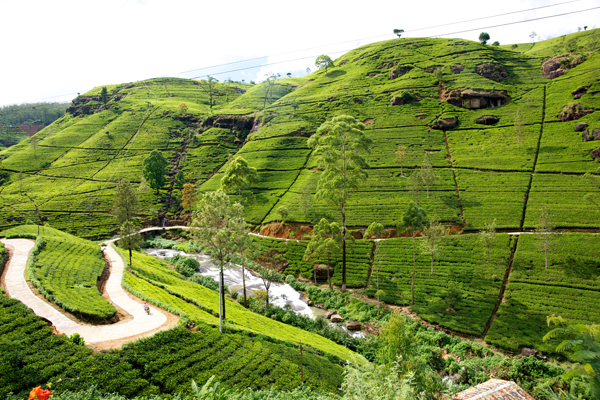 Sri lanka